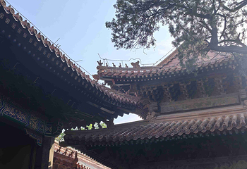 孔庙第 50 张图片