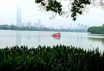玄武湖景区第 74 张图片