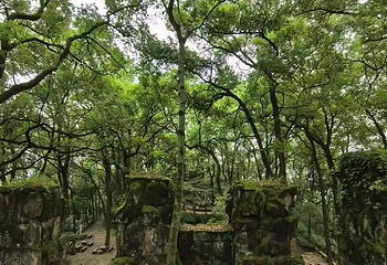 歌乐山国家森林公园第 60 张图片