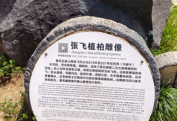 翠云廊第 27 张图片