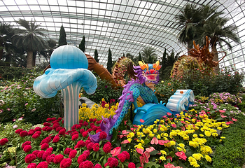 新加坡滨海湾花园第 76 张图片