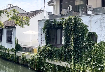 十全街第 114 张图片
