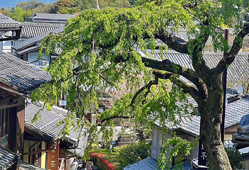 三年坂二年坂第 58 张图片