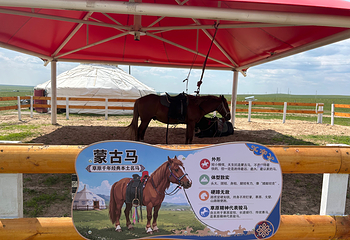 呼伦贝尔大草原巴尔虎蒙古部落民俗旅游度假景区第 75 张图片
