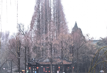 瘦西湖第 256 张图片