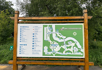 黑瞎子岛旅游区第 26 张图片