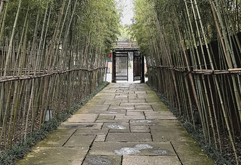 西溪国家湿地公园第 200 张图片