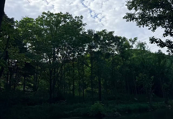 洛阳白云山风景区第 116 张图片