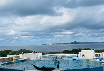 冲绳美丽海水族馆第 37 张图片
