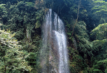 花水湾温泉度假区第 47 张图片