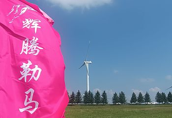 辉腾锡勒草原第 62 张图片