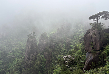 三清山风景区第 172 张图片