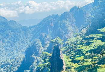 黄山风景区第 219 张图片