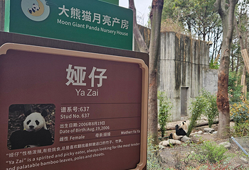 成都动物园第 71 张图片