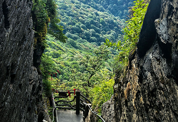 梵净山第 136 张图片