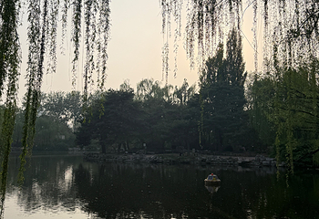 北京动物园第 141 张图片