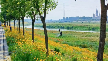 邯郸市北郊森林公园