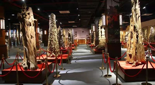 梅州市圣品沉香博物馆