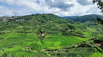 阿朗邦克梯田观景台