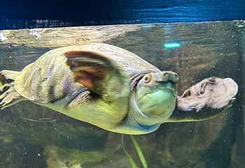 布莱顿海洋生物水族馆第 11 张图片