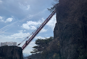 大芚山自然休养林第 13 张图片