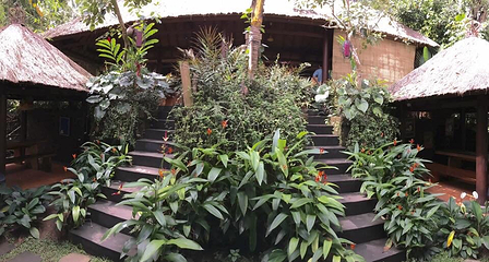 Segara Windhu Coffee Plantation第 11 张图片