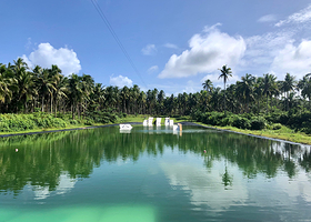 Siargao Wakepark