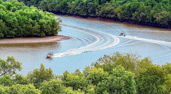 Khu dự trữ sinh quyển rừng ngập mặn Cần Giờ