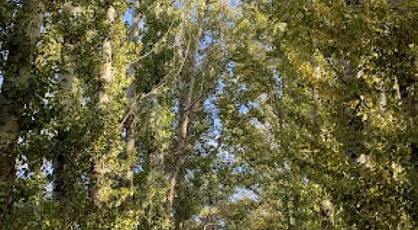 Стадион Жастар. Stadium Zhastar