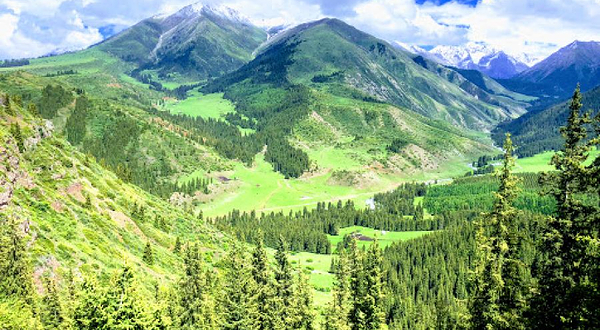 Maidenly Plates Waterfall