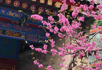 广仁寺第 91 张图片