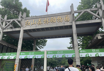 红山森林动物园第 249 张图片