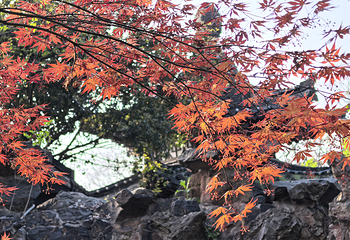 大明寺第 27 张图片