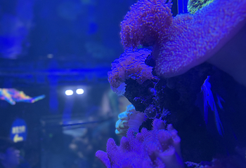 合肥海洋世界第 61 张图片