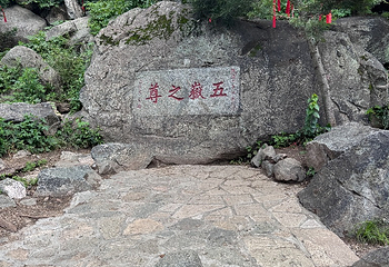 泰山风景区第 305 张图片