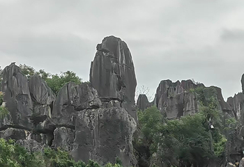 石林风景区第 235 张图片