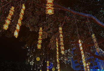 漳州古城第 124 张图片