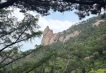 崂山风景区第 192 张图片