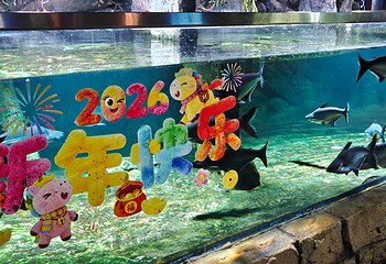 武汉东湖海洋世界第 18 张图片