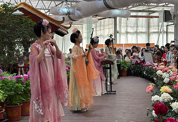 中国国花园第 85 张图片