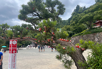 胜尾寺第 47 张图片