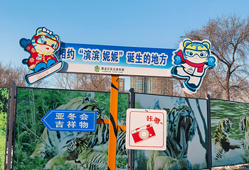 东北虎林园第 83 张图片