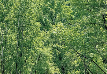 百里山水画廊第 84 张图片