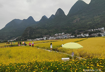 万峰林景区第 107 张图片