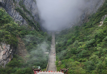 天门山国家森林公园第 441 张图片