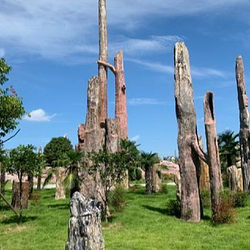 黄石华侨城恐龙奇域