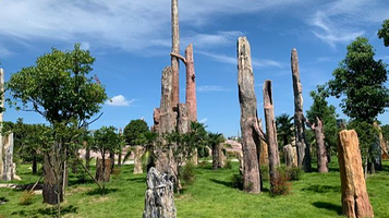 黄石华侨城恐龙奇域