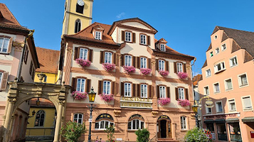 巴特梅根特海姆