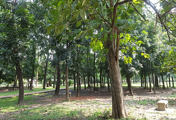 Ramna Park第 9 张图片