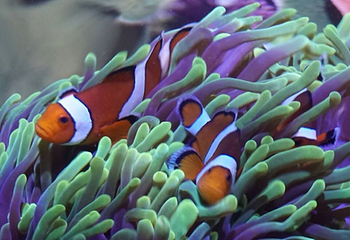 塞维利亚水族馆第 9 张图片